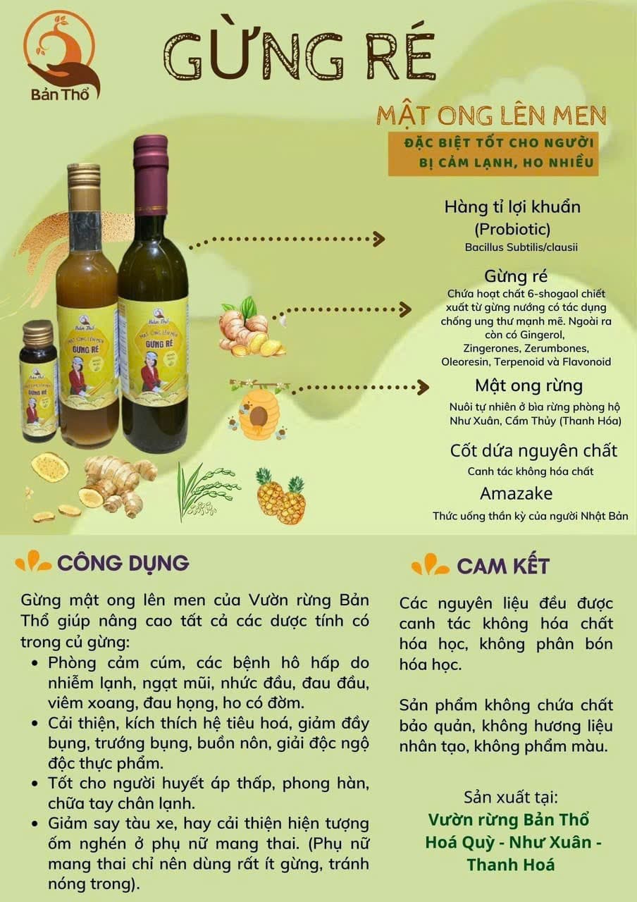 Mật Ong Lên Men Gừng -400gr