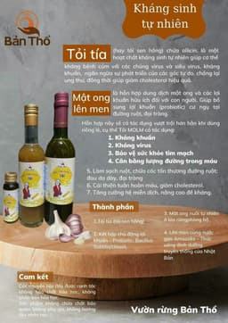 Mật Ong Lên Men Tỏi - 400gr